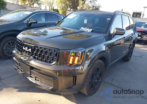 2024 Kia Telluride Ex X-Line from USA, damaged, VIN 5XYP3DGC8RG483211